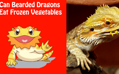 Can Bearded Dragons Eat Frozen Vegetables