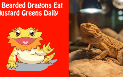 Can Bearded Dragons Eat Mustard Greens Daily