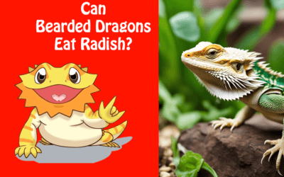 Can Bearded Dragons Eat Radish?