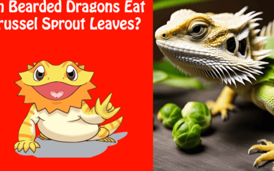 Can Bearded Dragons Eat Brussel Sprout Leaves?