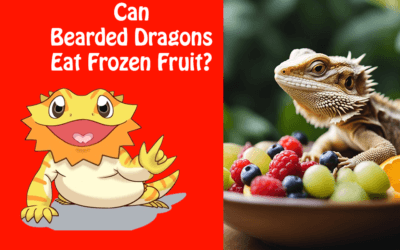 Can Bearded Dragons Eat Frozen Fruit?