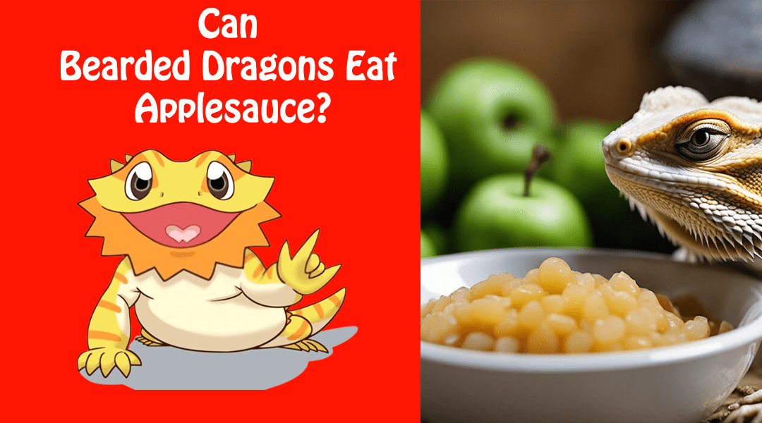 Can Bearded Dragons Eat Applesauce?