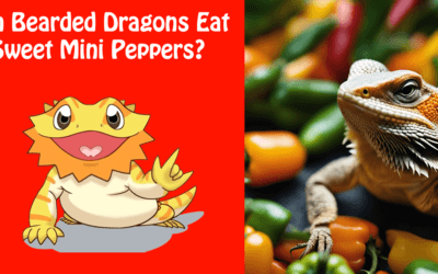 Can Bearded Dragons Eat Sweet Mini Peppers?