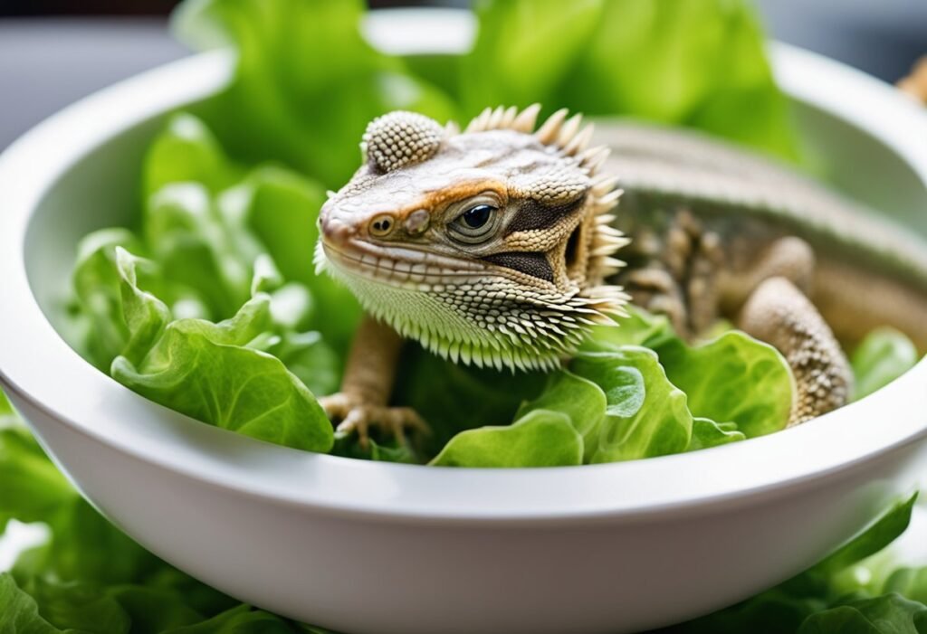 Can Bearded Dragons Eat Baby Lettuce