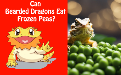 Can Bearded Dragons Eat Frozen Peas?